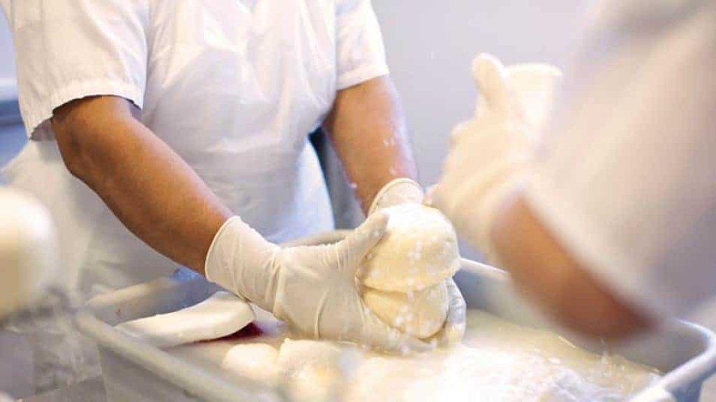 وزارة الصناعة تعلق عمل مصنع للألبان والأجبان في البقاع الغربي لتحسين مواصفات الإنتاج...وتصدر تنبيهات إلى شركتين تحت طائلة الإقفال المؤقت