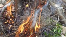 تنبيه من بلدية بنت جبيل: يمنع إشعال النيران هذا الأسبوع بسبب الجو الحار تحت طائلة المسؤولية
