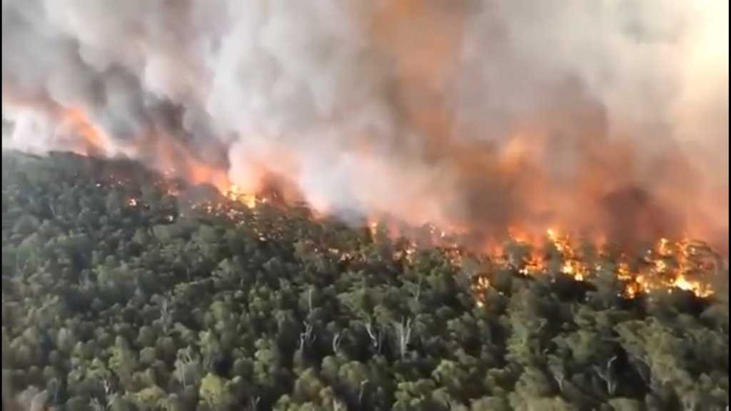 الحرائق في أستراليا تقتل نصف مليار حيوان وفيديو يظهر حجم الكارثة البيئية