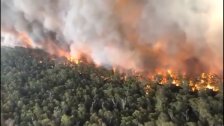 الحرائق في أستراليا تقتل نصف مليار حيوان وفيديو يظهر حجم الكارثة البيئية