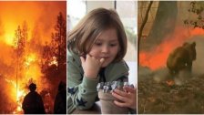 بالفيديو/ طفل في الـ6 من عمره ينجح بجمع 100 ألف دولار من أجل حرائق أستراليا