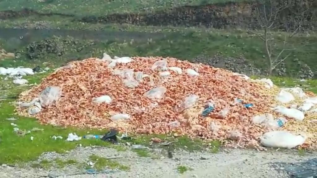 تفريغ حمولة شاحنة من بقايا دجاج في عكار...والاهالي يعترضون: "اعتداء على صحة الانسان"!