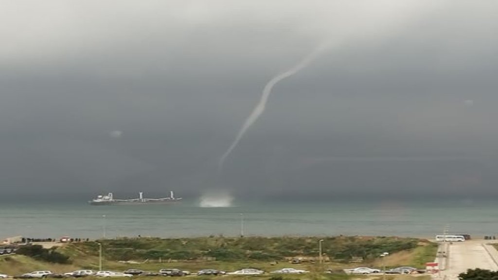 بالفيديو/ ظهور "تنّين البحر" قبالة منطقة ضبيه