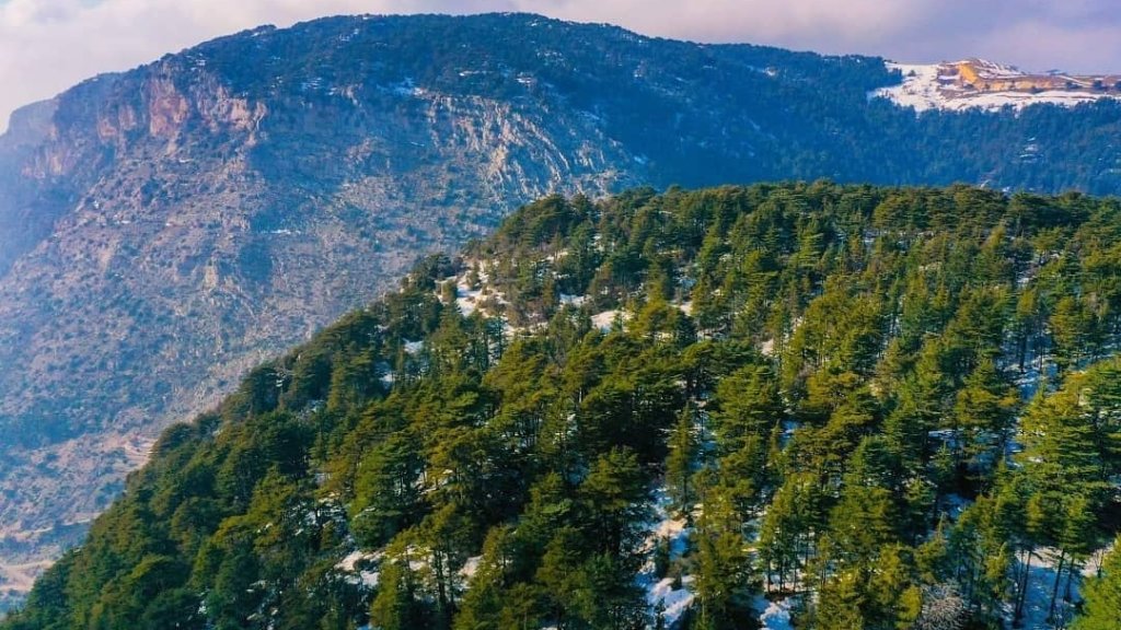 طقس ربيعي ودافئ بامتياز...الحرارة مرتفعة وفوق معدلاتها الموسمية 