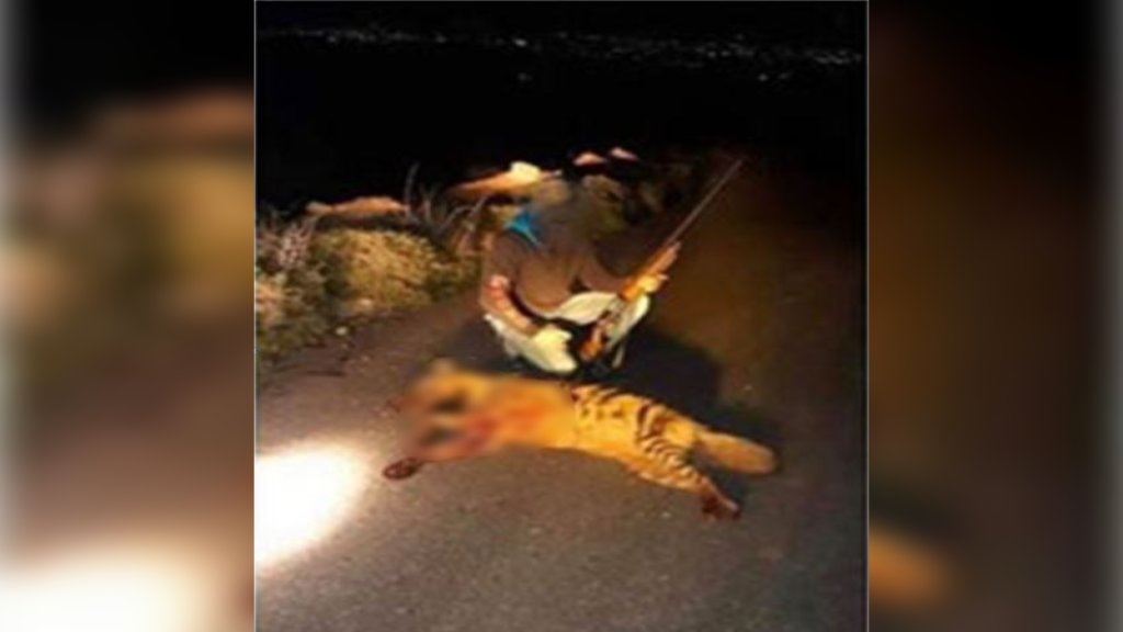 قتل حيواناً مهددا بالإنقراض في بعلبك ونشر صوره على مواقع التواصل الاجتماعي وقوى الامن تنظم بحقه محضري ضبط