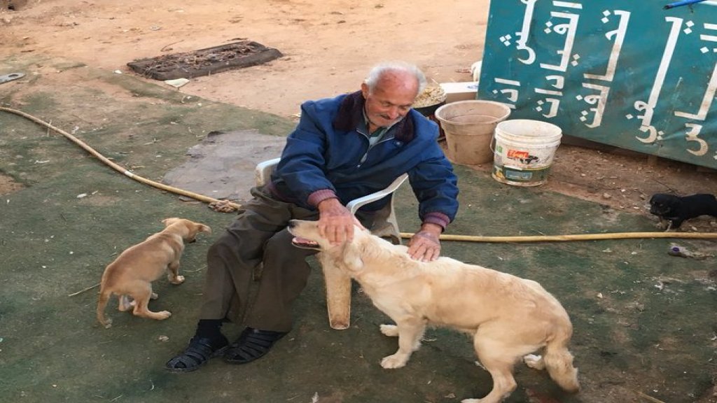 بالفيديو/ &quot;عمو محمود&quot; البالغ من العمر 88 عاماً يأوي الكلاب التي رُميت من قبل أصحابها خوفاً من انتقال كورونا في طرابلس: &quot;لو كانوا بيفهموا وعندن ذرة من الانسانية ما بكبوا يموت&quot;!