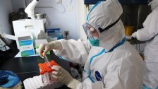 الصحة العالمية تحذر: زيادة استخدام المضادات الحيوية لمكافحة كورونا تعزز مقاومة البكتيريا وتسبب المزيد من الوفيات