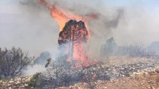 طوافات الجيش تنجح بمحاصرة الحريق الكبير في جرود الهرمل بعد جهود عناصر الجيش والدفاع المدني وأهالي المنطقة