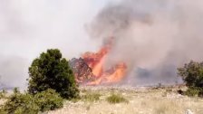 بعد الحريق الهائل، محافظ بعلبك - الهرمل يكشف: التحقيقات الأولية أظهرت أن سبب الحريق هو إضرام النار في مكب نفايات مزرعة سجد