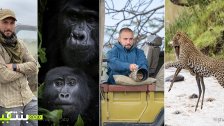 اللبناني هشام اقتنص لقطات من كينيا وأوغندا لحيوانات نادرة وفاز ضمن مسابقة عالمية للتصوير الإحترافي وبعد الأدغال يعد لمغامرة تصوير في القطب الشمالي