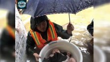 بالفيديو/ وضعوه داخل إناء لتحريكه فوق سطح المياه...لحظة إنقاذ رضيع حاصرته الأمطار في الفياضات الأعنف منذ 20 عاماً في الصين
