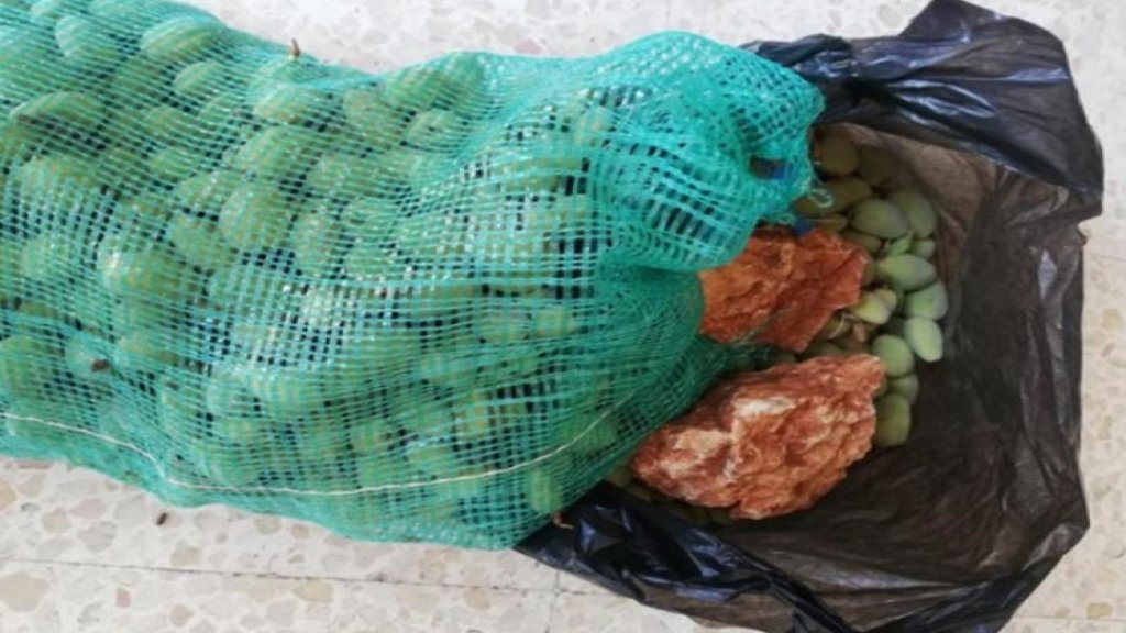 الى جانب الغلاء "غش".. بيع كيس لوز في صيدا بداخله حجرين كبيرين!