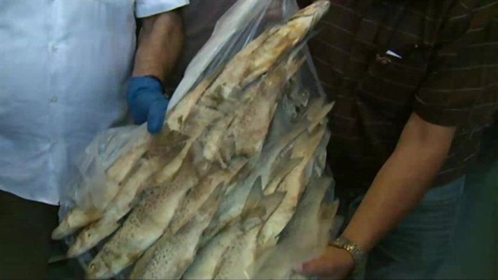 أكثر من 10 أطنان من الأسماك الفاسدة في مستودع في الزلقا...والمدير العام لوزارة الزراعة: صلاحية الأسماك انتهت منذ شباط وممنوع استهلاكها