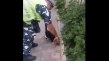 بالفيديو/ موقف انساني لعنصر من قوى الأمن...يحمل معه طعام للقطط ويضع لهم في الطرقات!