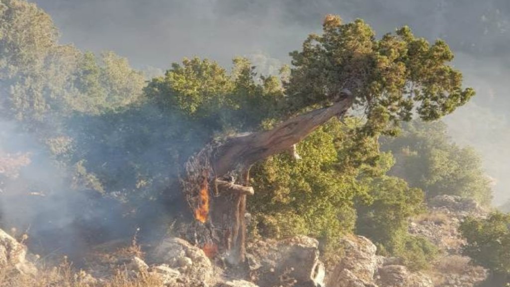 الوكالة الوطنية: الجهود لا تزال مستمرة لاخماد الحريق المستعر في أحراج الأرز واللزاب في أعالي جرود بلدة مشمش وطوافتي الجيش إنسحبتا بسبب حلول الليل