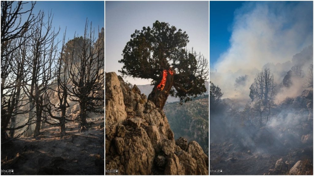 بالصور والفيديو/ "الخسائر كبيرة".. السيطرة على حريق غابات وادي حقل الخربة في مشمش العكارية.. تخوُّف من اندلاعها مجدداً ومطالبات بالتحقيق في اسباب اندلاعه