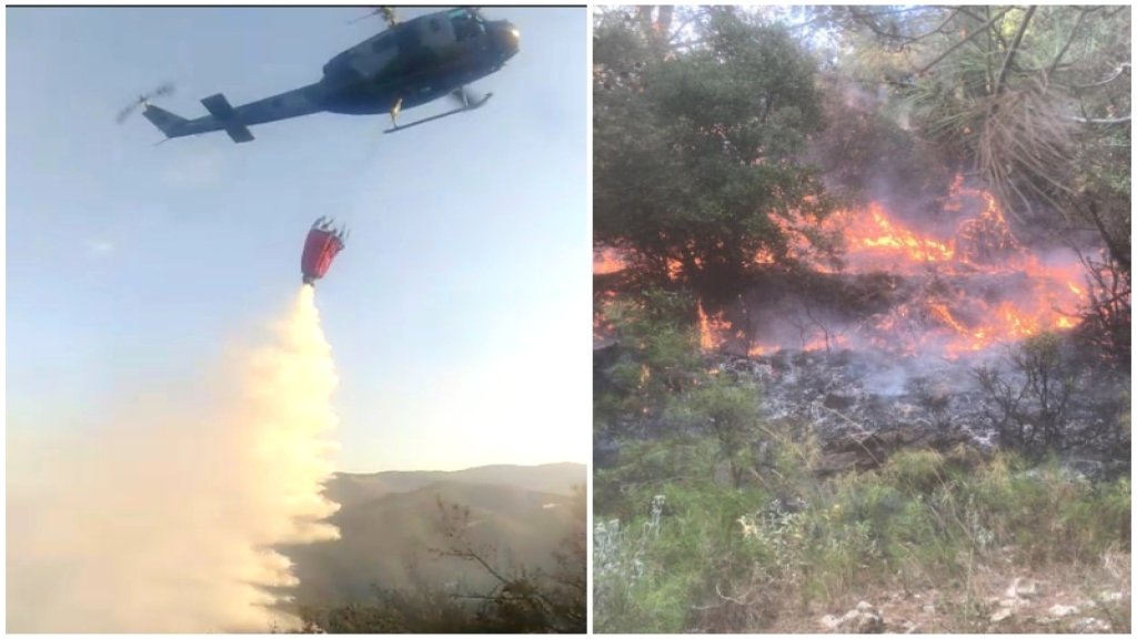 السيطرة على الحريق في خراج بلدة القبيات الذي اتى على مساحات واسعة من اشجار الصنوبر البري