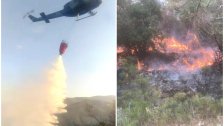 السيطرة على الحريق في خراج بلدة القبيات الذي اتى على مساحات واسعة من اشجار الصنوبر البري