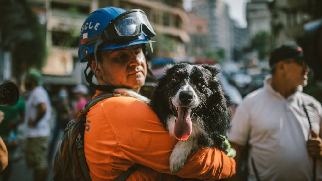 إصابة كلبة الإنقاذ التشيلية "فلاش" أثناء متابعة عمليات البحث والإنقاذ في مار مخايل ونقلها لطبيب بيطري