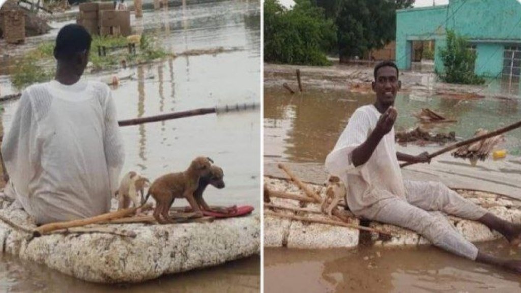 صوره إجتاحت مواقع التواصل.. شاب سوداني ينقذ كلاباً من الغرق في الفيضانات والسيول التي تجتاح العديد من المدن السودانية 