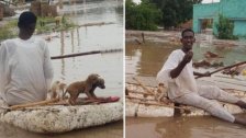 صوره إجتاحت مواقع التواصل.. شاب سوداني ينقذ كلاباً من الغرق في الفيضانات والسيول التي تجتاح العديد من المدن السودانية 