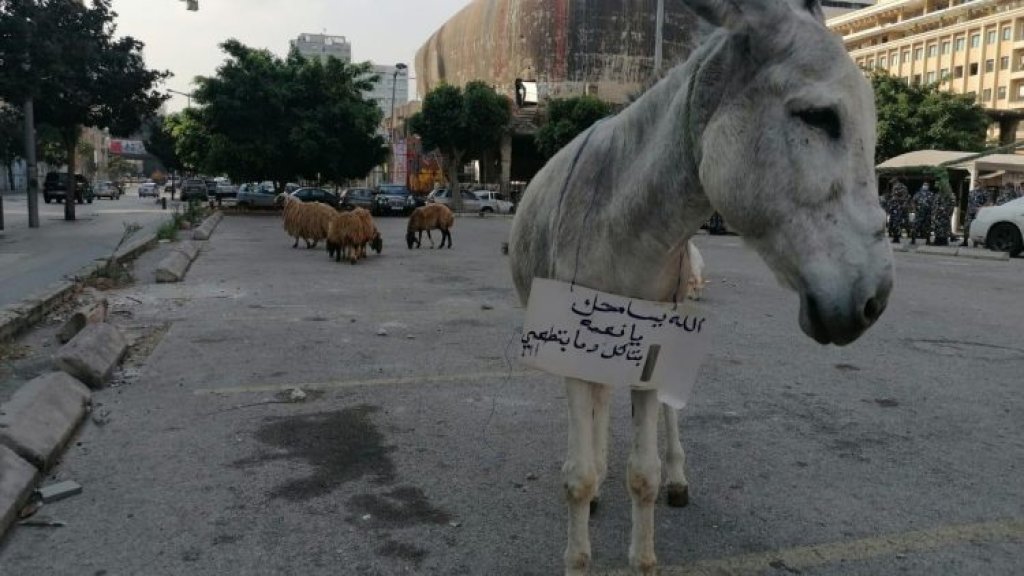 بالفيديو/ حمار ومواشي أمام وزارة الاقتصاد احتجاجاً على رفع الدعم