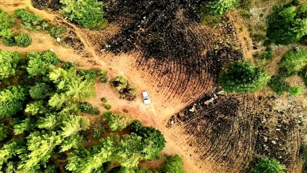  خسائر حريق فنيدق القموعة: قضى على مساحة تقدر بحوالي 140 ألف متر مربع من الغابات بمعظمها من الصنوبر والشوح الكيليك وعلى العديد من الحيوانات والزواحف والطيور