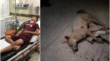 هجوم حيوان شرس على منزل في بلدة عيتا الشعب....وإصابة 5 أشخاص بجروح متفاوتة وهم بصحة جيدة
