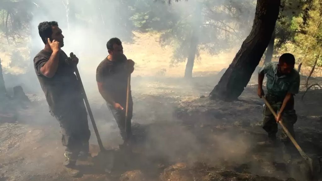 إخماد حريق في خراج عكار العتيقة واحتراق ما يزيد عن 250 شجرة صنوبر