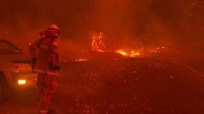 100 رجل إطفاء من المكسيك إلى كاليفورنيا لمكافحة الحرائق الكارثية التي تشعل كاليفورنيا منذ آب!