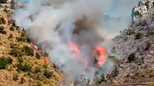 بالفيديو/ إندلاع حريق كبير في غابة شجر اللزاب النادرة في كفربنين ومناشدة لإخماده بعد تمدده