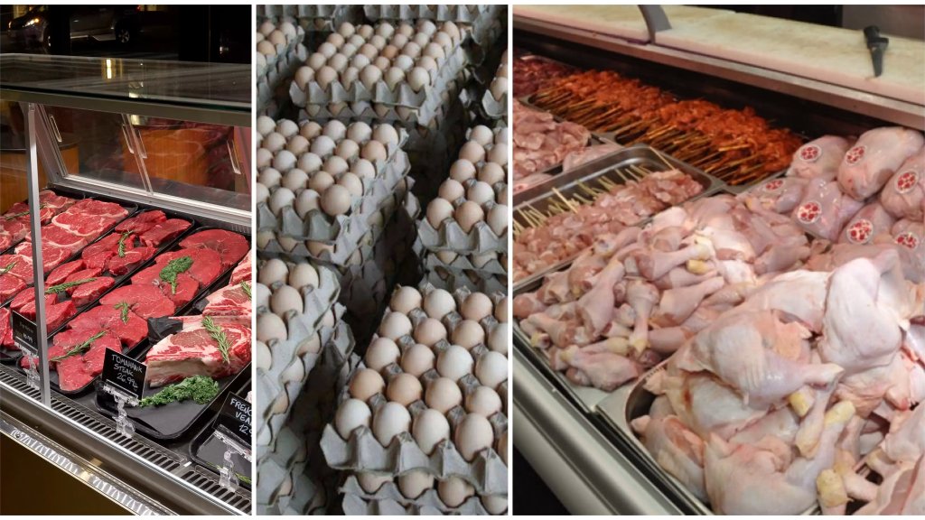 قرار مشترك بين وزيري الاقتصاد والزراعة بتحديد أسعار الدجاج ومشتقاته والبيض واللحوم ومشتقاتها