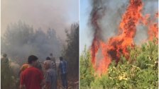 حريق في رحبة أتى على مساحة 20000 متر مربع من أشجار الصنوبر والسنديان...ومطالبة بالتدخل السريع والسيطرة عليه