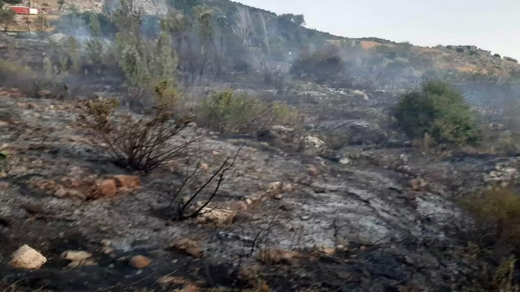 الحريق المفتعل أدى إلى أضرار كبيرة...حريق عيتنيت يلتهم 30 دونماً من الأشجار المثمرة والحور