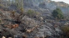 الحريق المفتعل أدى إلى أضرار كبيرة...حريق عيتنيت يلتهم 30 دونماً من الأشجار المثمرة والحور