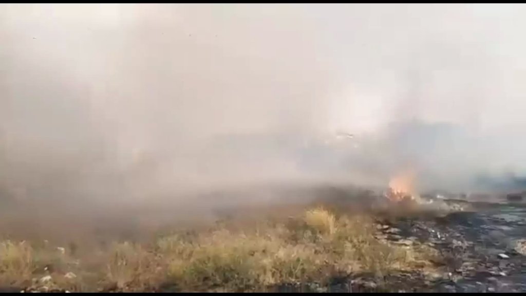 بالفيديو/ حريق هائل في محمية صور الطبيعية - منطقة الشواكير  
