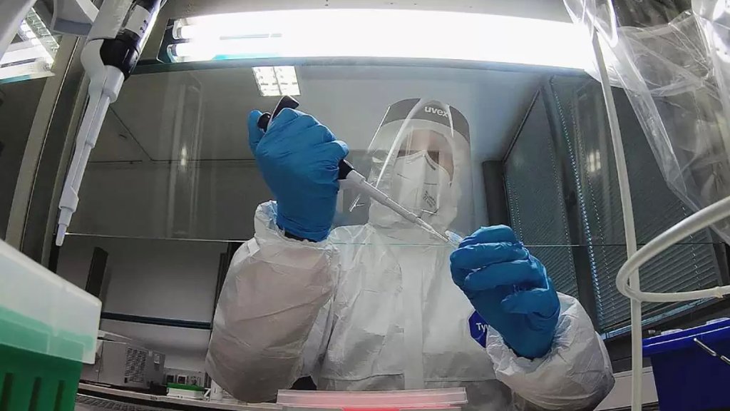 تسجيل حالة كورونا جديدة لمصاب سابق شفي من الفيروس في السكسكية