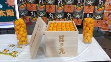 صندوق برتقال يباع بحوالي 10 آلاف دولار في اليابان!