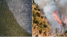 تقييم أجري باستخدام صور الأقمار الصناعية يؤكد: لبنان شهد أسوأ موسم حرائق خلال هذا العام وثروة طبيعية كبيرة خسرها