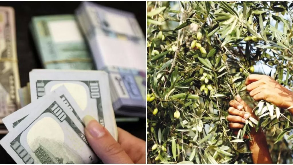 استغلوا انشغال الأسرة بقطف الزيتون...وسرقوا مجوهرات و9 الاف دولار ومبلغ 30 مليون ليرة لبنانية من منزلهم!