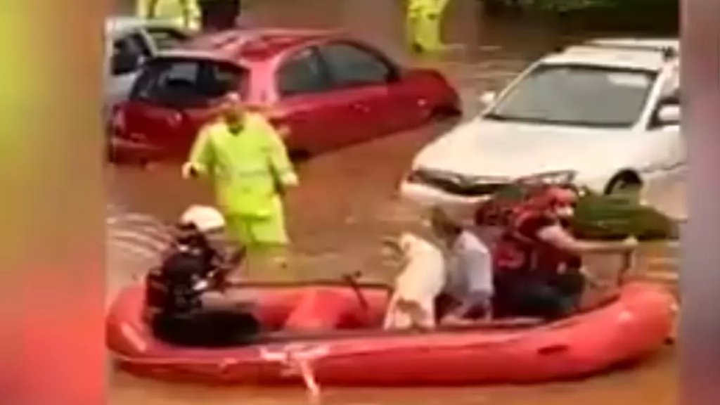 بالفيديو/ إستخدام قوارب لإنقاذ عالقين بسبب فيضانات في فلسطين