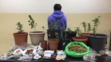 ضبط بحوزته 23 شتلة من مادة الماريجوانا...شعبة المعلومات توقف مروج مخدرات في ساحل علما