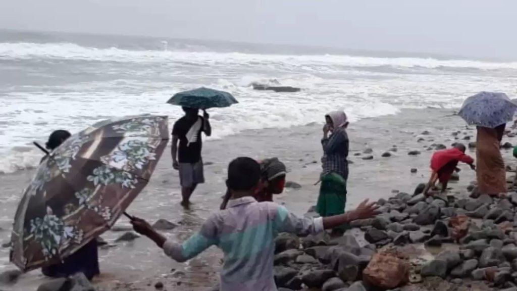بالفيديو/ البحر يقذف &quot;ذهب&quot; على شواطئ قرية هندية صغيرة!