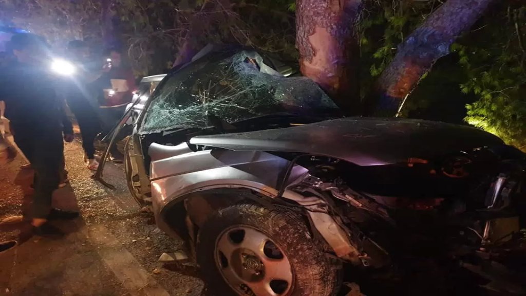 بالصور/ حادث ماساوي... وفاة سيدة باصطدام سيارة بشجرة على طريق عام عيتيت صور
