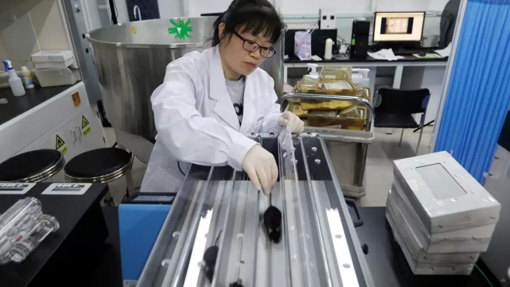 يأملون في تطبيقه على البشر.. علماء صينيون يطورون علاجاً يمكنه تأخير الشيخوخة عند الفئران