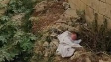توقيف والدي الطفل الرضيع الذي عثر على جثّته مرميّة بين الأشجار في خلدة