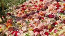 بالفيديو/ في عيد الأم &quot;يا ورد مين يشتريك&quot;... ملايين الزهور تُرمى بسبب قلة البيع