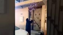 بالفيديو/ بالزينة والزغاريد... سيدة تحتفل بطلاقها أمام منزل زوجها السابق!