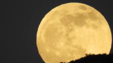 &quot;قمر الدودة&quot;..أول قمر عملاق لهذا العام يزيّن سماء الليل 