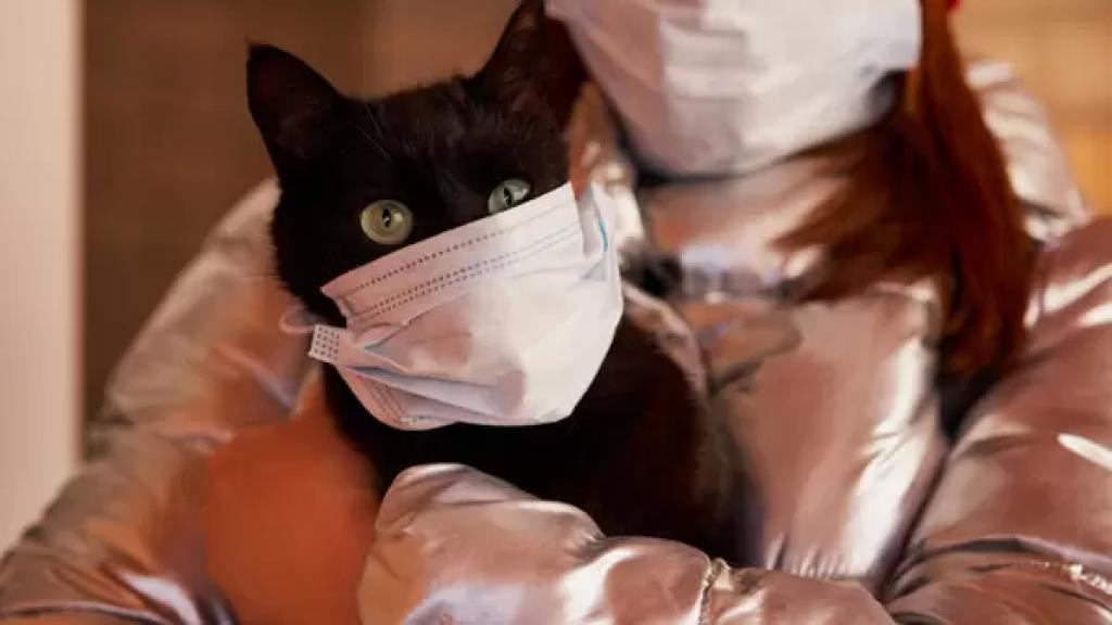روسيا تسجل أول لقاح في العالم للحيوانات ضد فيروس كورونا